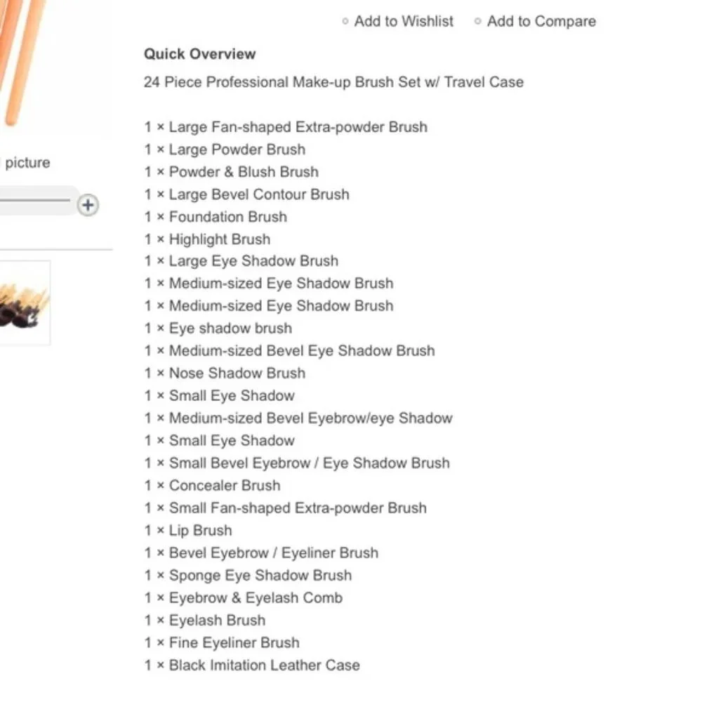 6/23 24PIECE MAKEUP BRUSH SET